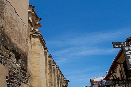 ��Ξ鹫˾ȡ������