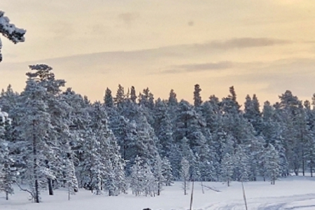 ��Ԣ��Ŀ��ȵ����ִ�ȫ