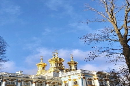 ��˾Ʒ�������Є���